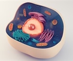 New 3D Stem Cell Model Mimics Human Amniotic Sac Development