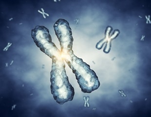 Study Uncovers Link Between Genetic Variants and Mosaic Loss of X Chromosome in Aging Women