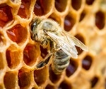 Animal Brains are a Treasure Trove of Innovation