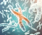 Study Uncovers Link Between Genetic Variants and Mosaic Loss of X Chromosome in Aging Women