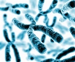 Unraveling the Complexities of X Chromosome Inheritance