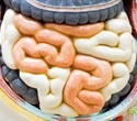 New 3D-Printed Trays Help Produce Functioning Human Gut Organoids Twice as Fast