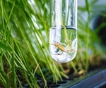 Environmental Metabolomics