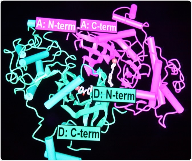Research in the field of proteomics. New technologies for the study of biological macromolecules. Image Credit: Sergei Drozd / Shutterstock