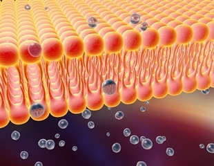 Researchers Uncover How Phage Infection Dynamics Affect Viral Entry at Single-Cell Level