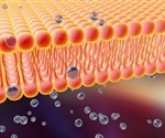 Researchers Uncover How Phage Infection Dynamics Affect Viral Entry at Single-Cell Level