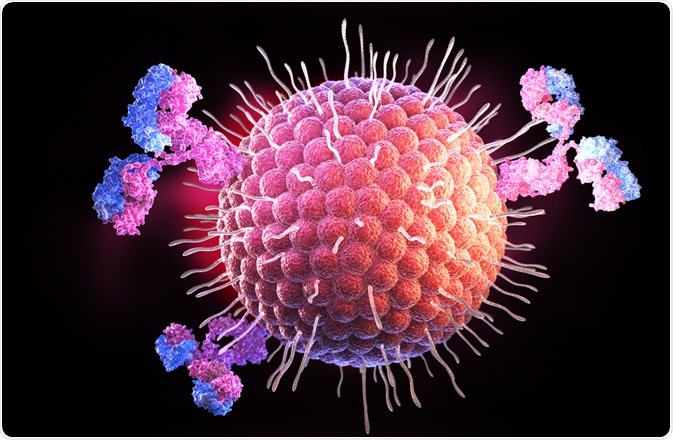 Antibodies and herpes virus - part of an lateral flow assay - By Tatiana Shepeleva