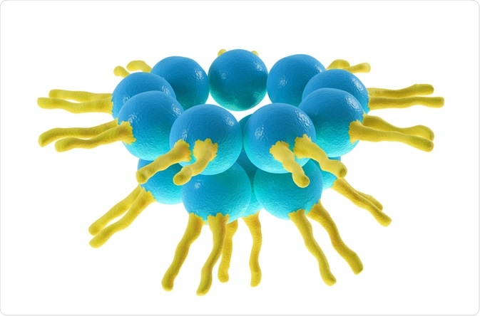 Fatty acids forming a protocell - Tomasz Swierczynsk