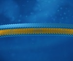 Protocell Uses in Biology