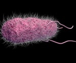 Broad Spectrum Pathogen Detection Achieved Through Metagenomic Sequencing