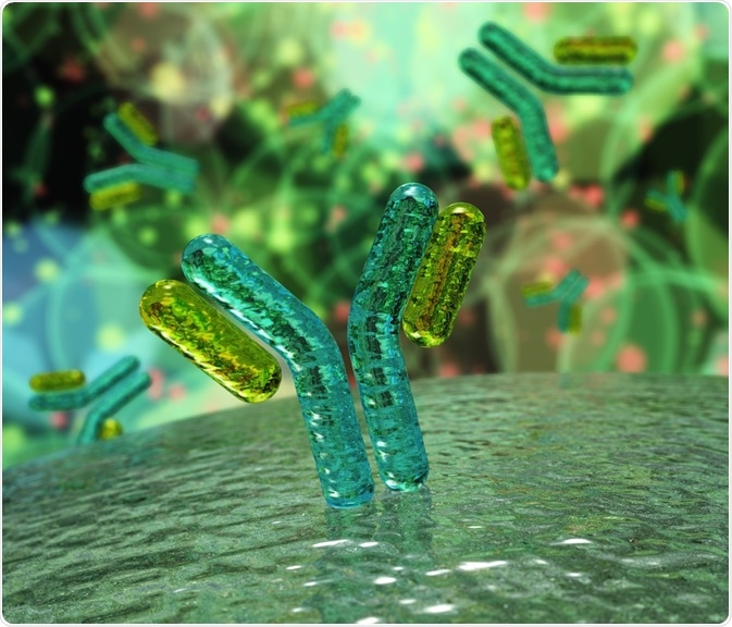 Illustration of an antibody bound to an antigen. Antibodies are typically used in lateral flow assays. By ustas7777777.