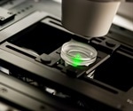 Two-photon Microscopy Principles and Methodology