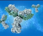 Difference Between a Paratope and an Epitope
