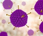 Researchers use T cell engineering to arrest tumor growth for a variety of cancers