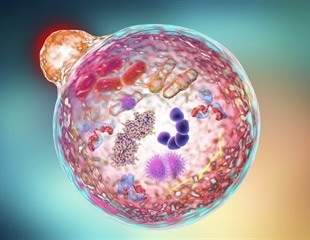 Autophagy Protein ATG9A Shields the Skin from Harmful Inflammation
