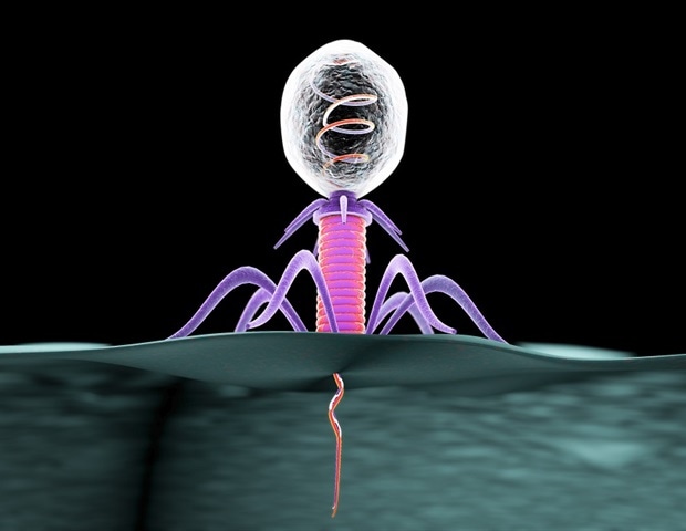 RNA-Based Barcoding Tool Tracks Virus-Host Interactions Inside Bacterial Communities