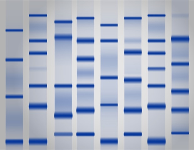 New RNA Extraction Approaches Overcome Agarose Barriers in Lung Slices