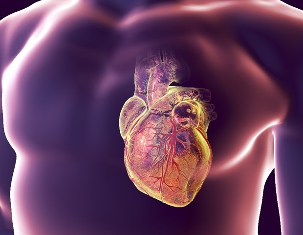Female Hearts Rely on Molecular Safeguard to Avoid Failure