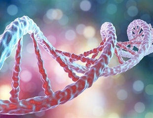 Novel 3D Bioink Induces Organ Regeneration