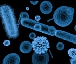 What is 3D X-Ray Microscopy?