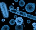 Researchers set a new record in X-ray microscopy