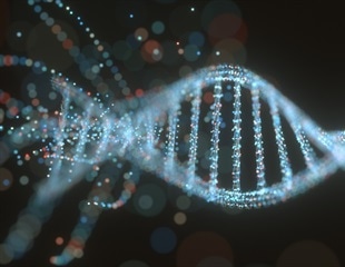 Scientists gain new insights into ribosome formation to identify potential drug targets