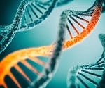 Frog Egg Extracts Illuminate the Untangling Mechanism of DNA Knots