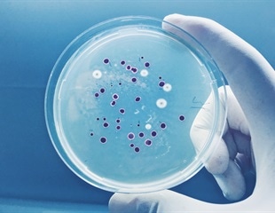 Scientists Uncover Cyanobacteria’s Circadian Clockwork