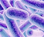 Cornell Unlocks Bacteria’s Power for Enhanced Rock Weathering