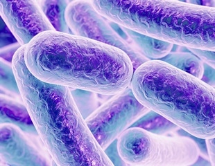 Skin Microbiome Found to Help Regulate Immune Response to UV Radiation