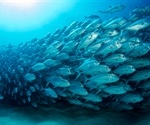 Cleaner Fish Stations and Their Effect on Reef Diversity