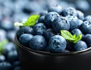 dpMIG-seq Enables Efficient Genetic Analysis of Tetraploid Blueberry