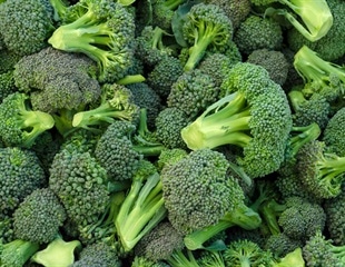 Molecular Docking Analysis Unlocks Secrets of Flavonoid Metabolism