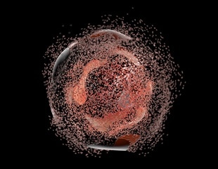 Bio-Rad Launches Annexin V StarBright Conjugates for Apoptosis Detection via Flow Cytometry