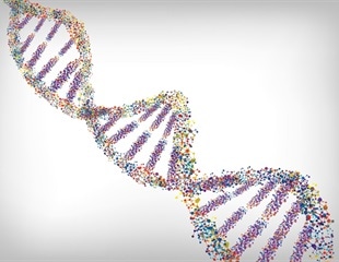 Frog Egg Extracts Illuminate the Untangling Mechanism of DNA Knots
