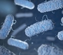 Untapped Antimicrobial Weapons Hidden in Archaea Genomes
