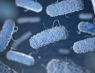 Gut Microbiome Offers Clues to Detecting and Treating Gastrointestinal Diseases