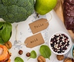 High folic acid levels during pregnancy affect brain development of mouse embryos