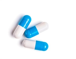 The Role of Metabolism in Bacterial Survival and Resistance