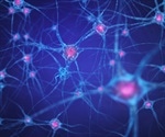 Super-Cooled Brain Cell Molecules Shed Light on Epilepsy Drug Action