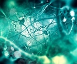 Study Unveils Surprising Cause of Brain Cell Death in Huntington's Disease