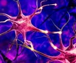 Space Experiment Reveals Surprising Brain Cell Behavior