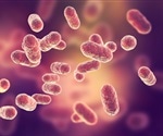 Unraveling the Evolutionary Link to Eukaryotic Cells