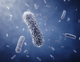 Scientists Uncover Cyanobacteria’s Circadian Clockwork