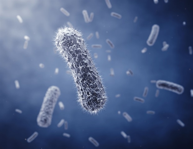 Specific Gut Bacteria Found to Control Weight and Blood Fat Levels