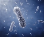 Scientists Uncover Cyanobacteria’s Circadian Clockwork