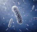 Study Identifies a Cellular Mechanism That Alters the Gut Microbiome