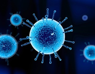 New Study Details H9N2 Avian Flu’s Variability and Public Health Implications