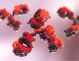 Fusion Proteins Offer New Path for Antibody Generation in Disease Research
