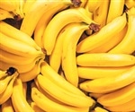 Study Identifies Key Yield Traits in Complex Banana Genome